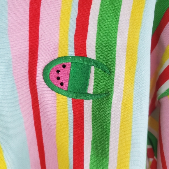 Champion Sweater Women's Medium Susan Alexandra Watermelon Reverse Weave Hoodie. - Picture 3 of 6